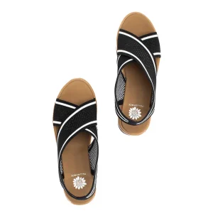 Women Yellow Box Heels & Wedges>Airlee