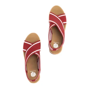 Women Yellow Box Heels & Wedges>Airlee