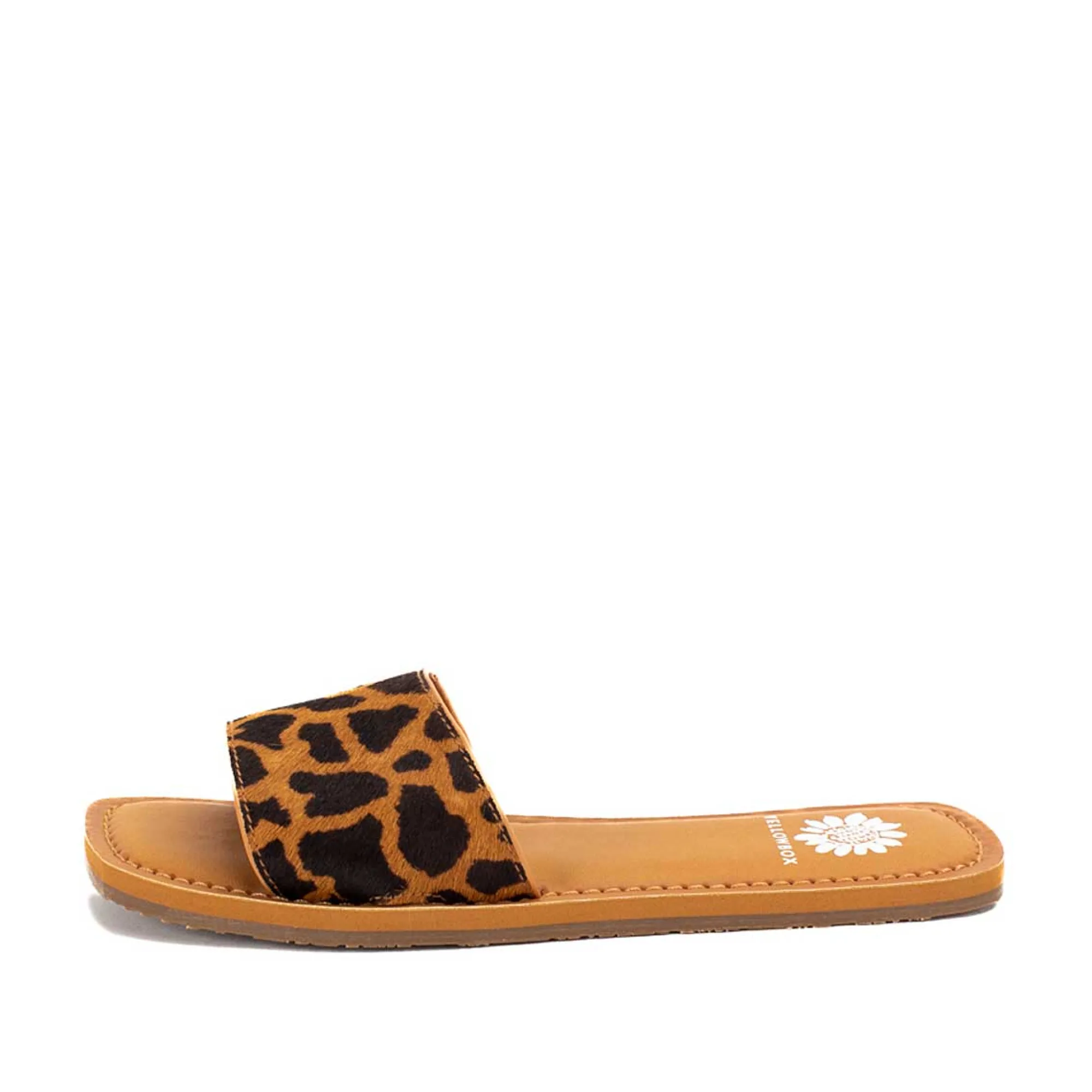 dariah_11.webp Women Yellow Box Sandals>Dariah