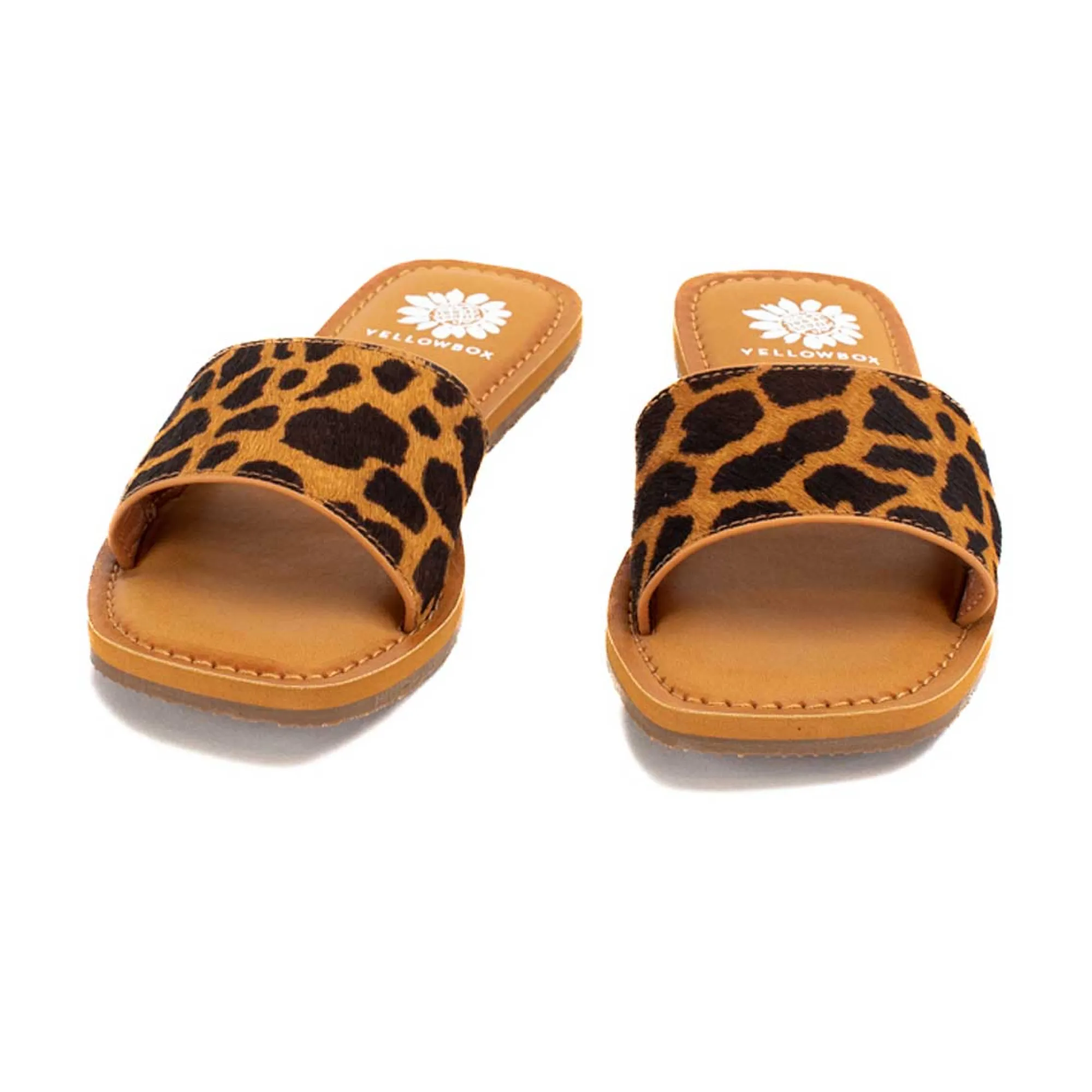 dariah_13.webp Women Yellow Box Sandals>Dariah