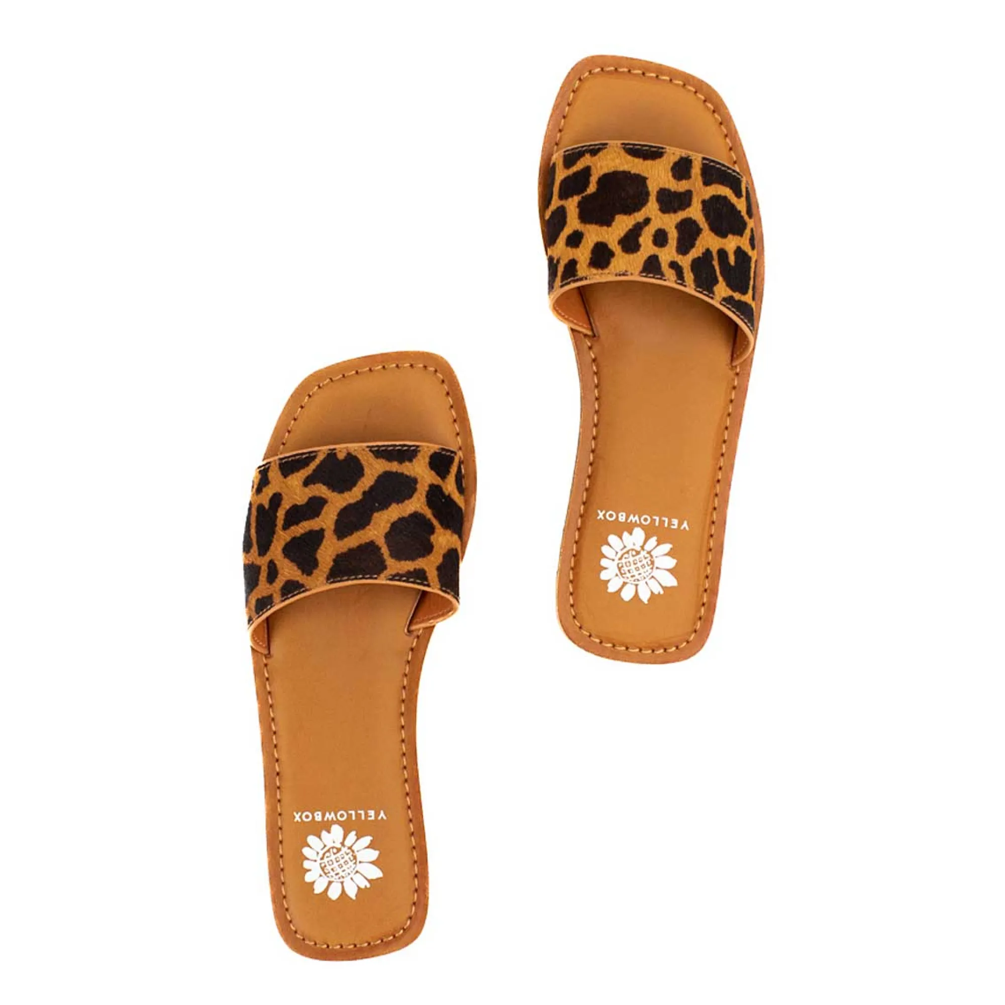 dariah_14.webp Women Yellow Box Sandals>Dariah