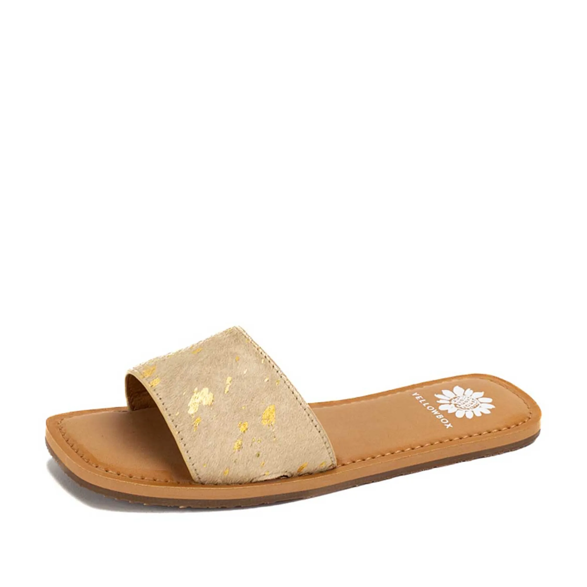 dariah_17.webp Women Yellow Box Sandals>Dariah