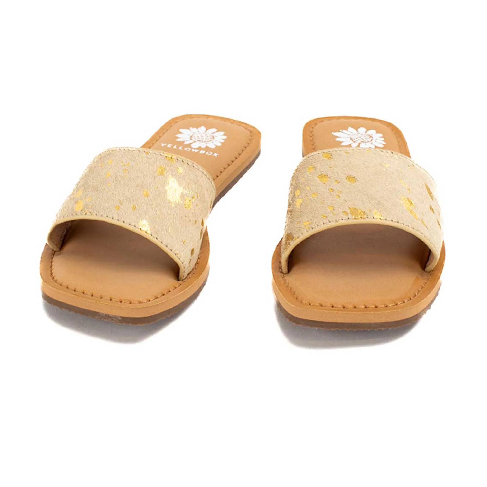 dariah_18.webp Women Yellow Box Sandals>Dariah