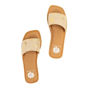 Women Yellow Box Sandals>Dariah
