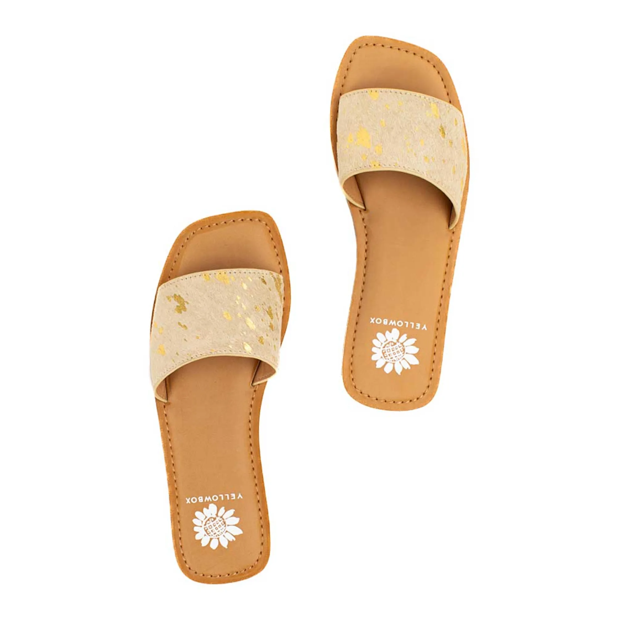 dariah_19.webp Women Yellow Box Sandals>Dariah
