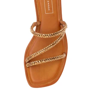 Women Yellow Box Sandals>Darian Flat Sandal