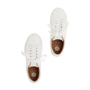 Women Yellow Box Sneakers & Flats>Daylon Low-Top Sneaker