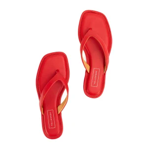 Women Yellow Box Flip Flops>Durham Flat Sandal