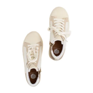 Women Yellow Box Sneakers & Flats>Espaloma High Top Sneaker