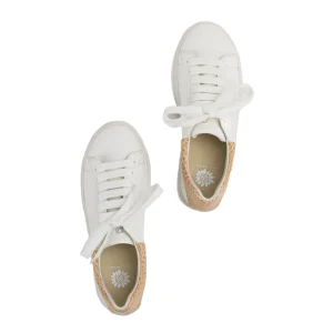 Women Yellow Box Sneakers & Flats>Evodia Lace Up Sneaker