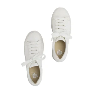 Women Yellow Box Sneakers & Flats>Evodia Lace Up Sneaker