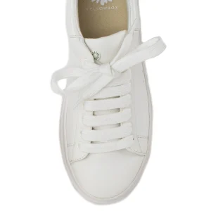 Women Yellow Box Sneakers & Flats>Evodia Lace Up Sneaker