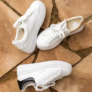 Women Yellow Box Sneakers & Flats>Evodia Lace Up Sneaker