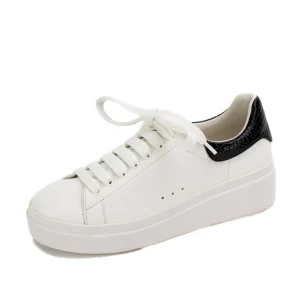 Women Yellow Box Sneakers & Flats>Evodia Lace Up Sneaker