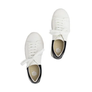 Women Yellow Box Sneakers & Flats>Evodia Lace Up Sneaker