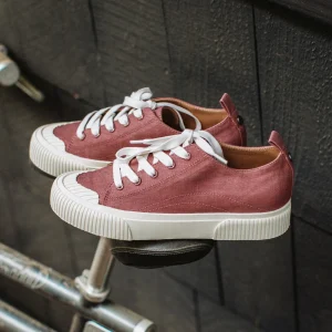 Women Yellow Box Sneakers & Flats>Gina Low-Top Sneaker