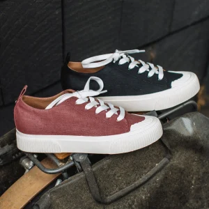 Women Yellow Box Sneakers & Flats>Gina Low-Top Sneaker