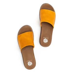 Women Yellow Box Slides>Kalo Slide Sandal