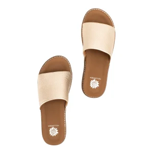 Women Yellow Box Sandals>Kalo Slide Sandal