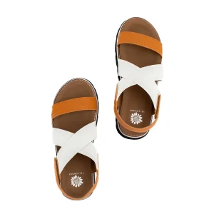 Women Yellow Box Sandals>Keyla