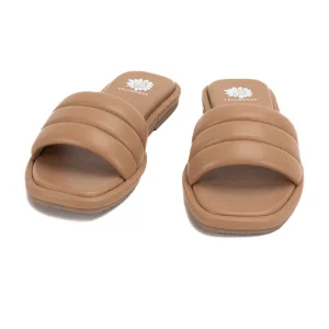 Women Yellow Box Sandals>Laleh