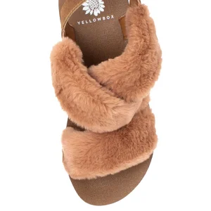 Women Yellow Box Slippers>Paudrina