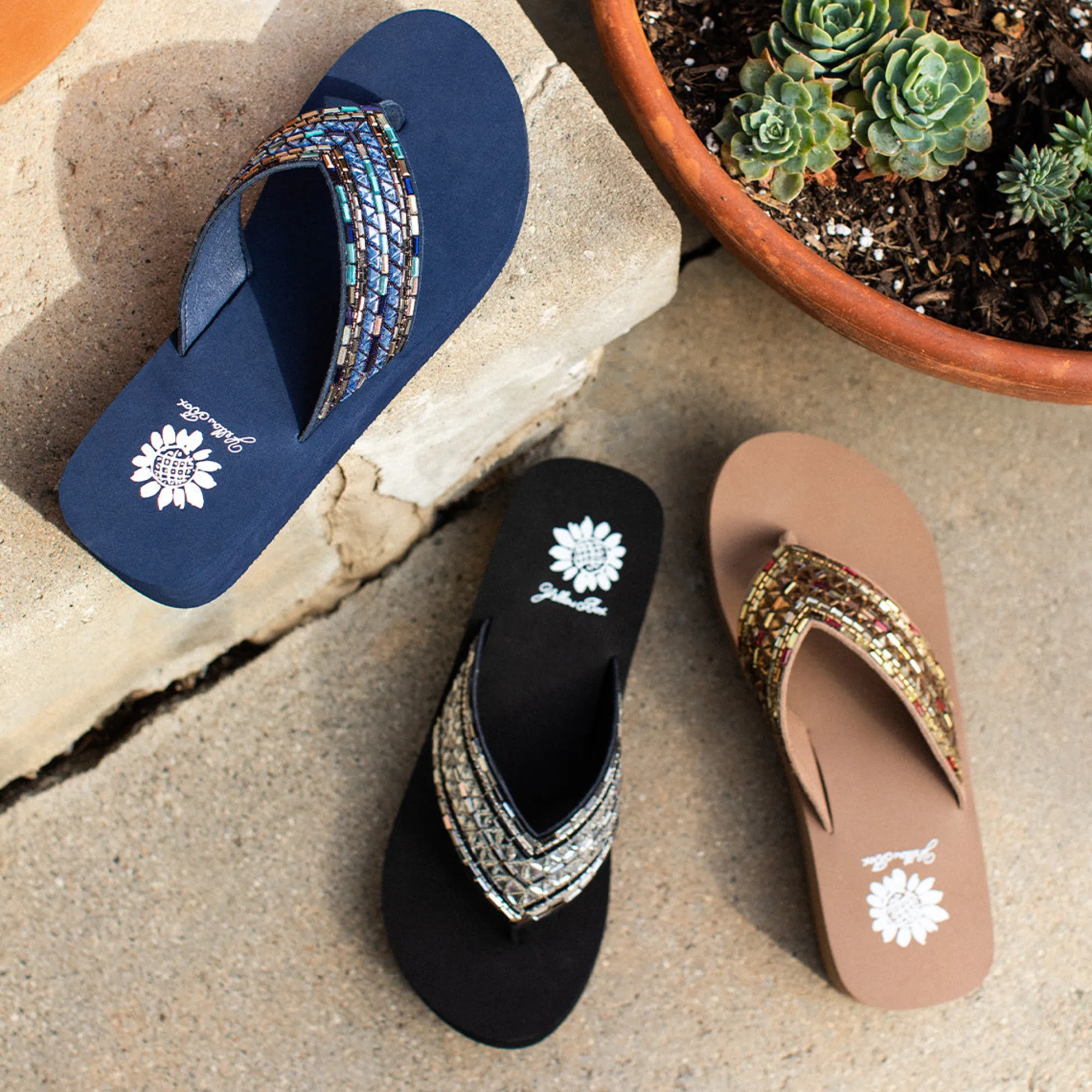 steeven_5.webp Women Yellow Box Flip Flops>Steeven