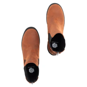 Women Yellow Box Boots & Booties>Tabitha Chelsea Boot