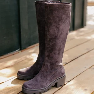 Women Yellow Box Boots & Booties>Talina Stretch Boot