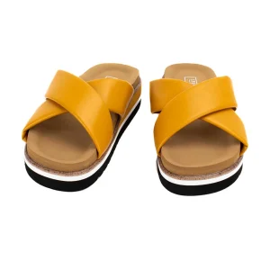 Women Yellow Box Sandals>Tashie