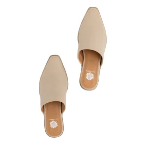 Women Yellow Box Clogs & Mules>Willard Heeled Mule